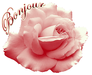 Gif animé bonjour rose